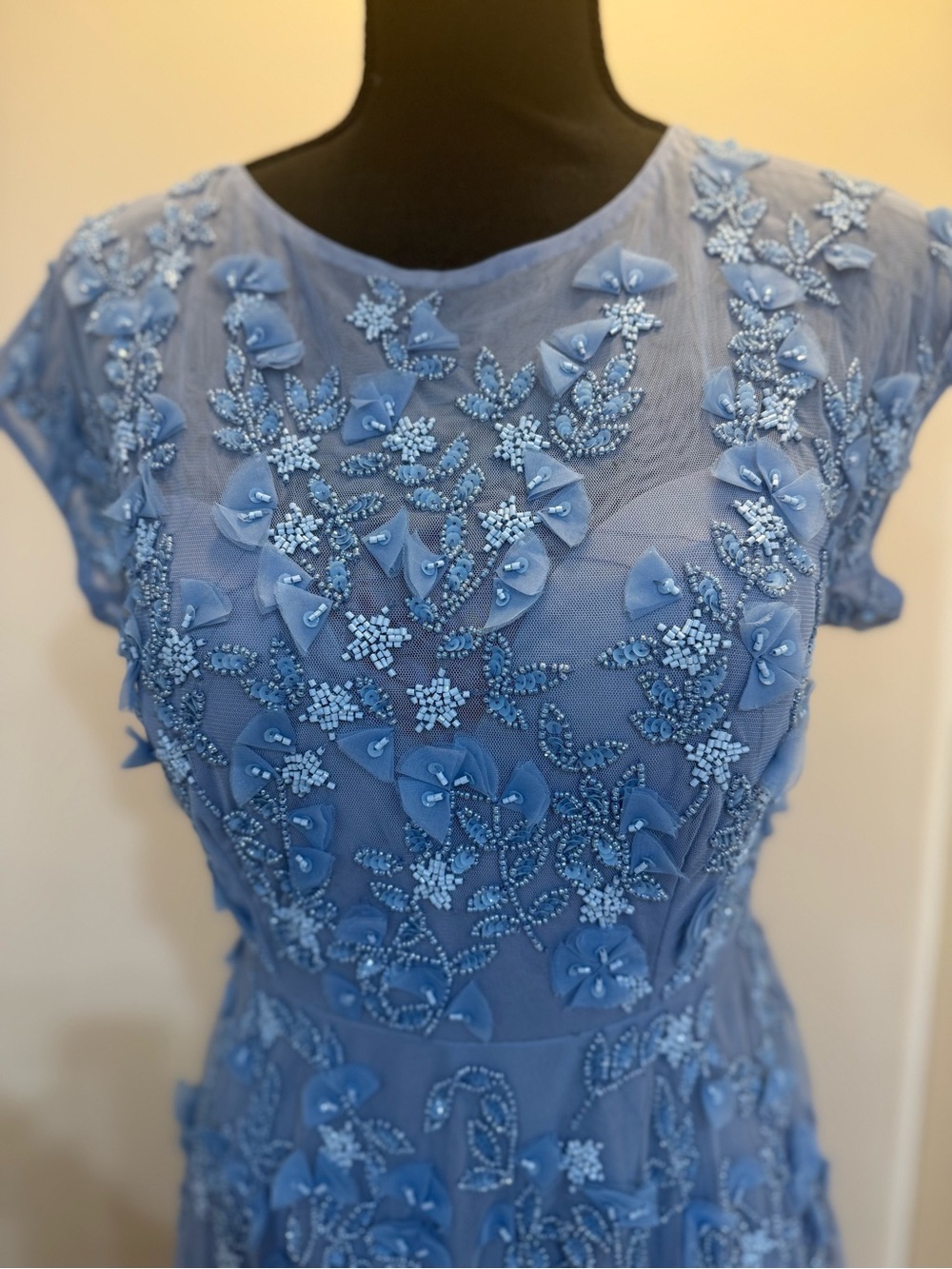 Mac Duggal Dusty Blue Floral Appliqué Maxi Gown - Picture 3 of 11